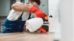 Best Pest Exclusion Services  in San Jacinto, CA